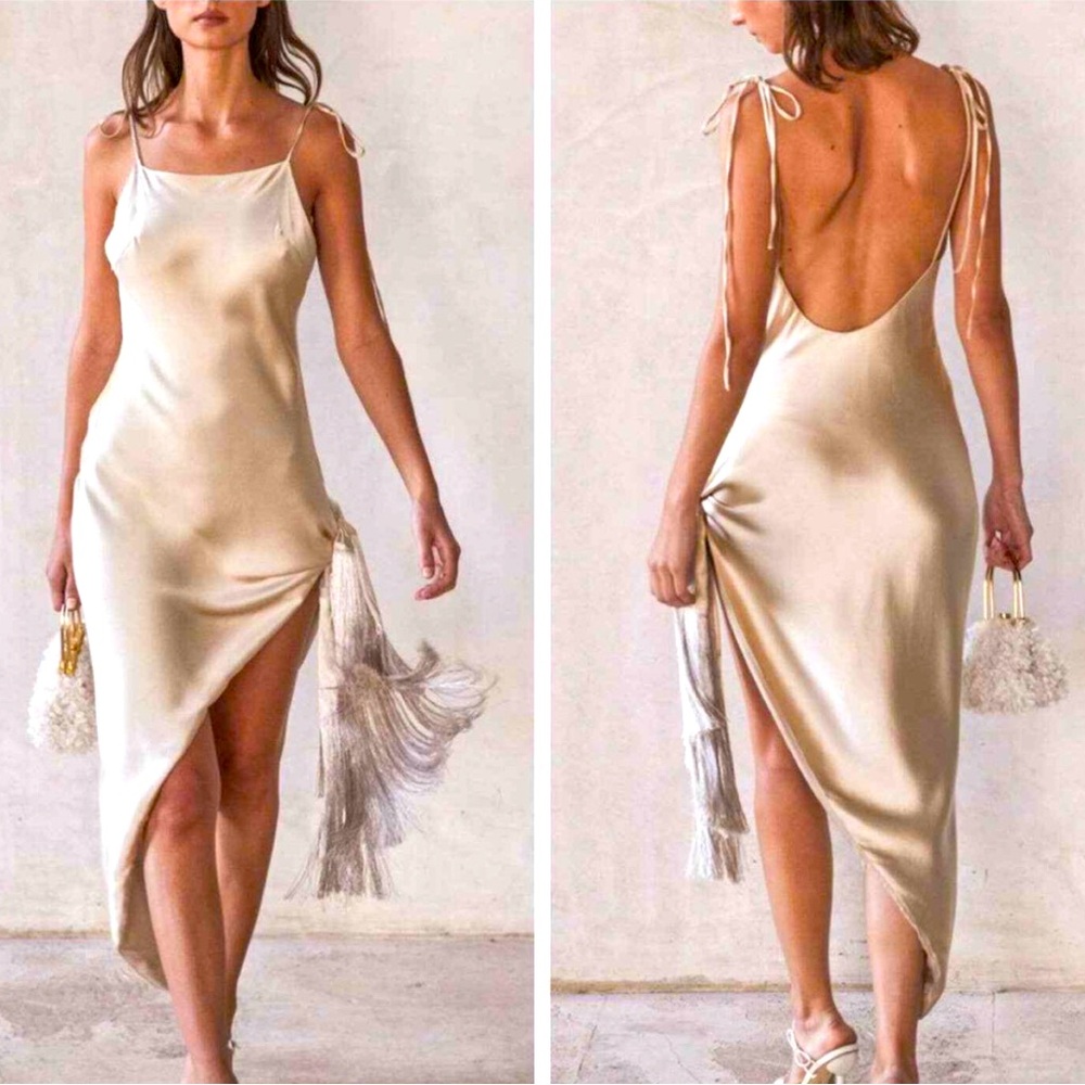 Cult Gaia Giselle Silk Dress XS